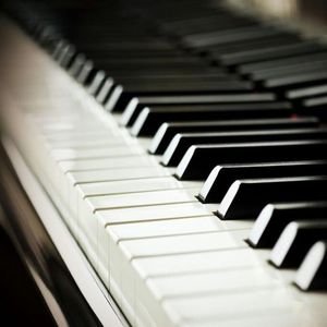 国产使劲操大逼黄片儿
